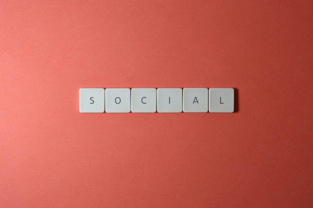 social media feed algorithm