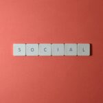 social media feed algorithm